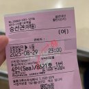 쇼타임PC방 포항이동점 | 울릉크루즈 4인실(Sea) 탑승 후기 (+낭만..? 선상 포차 후기까지)