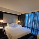 센트럴파크(이동식 1, 장승) | [25 뉴욕#6]코트야드바이메리어트 뉴욕맨해튼 / 센트럴 파크 호텔 숙박 후기