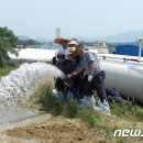농협경제지주 종돈개량사업소 뉴스1