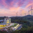 영덕 물가자미 전문점 이미지