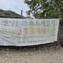 트래블지 이미지