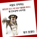 정곡 이미지