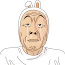 할리우독 이미지
