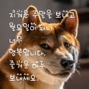 7월 월요일 아침 인사말 이미지