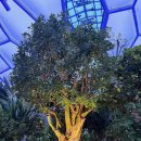 부천 물박물관-1 | 부천데이트 식물원 부천호수공원 수피아 야간개장