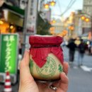 대저2동1310 | [공지] [엄마와 도쿄여행 1일차] 김해공항 사설주차장, 나리타공항에서 아사쿠사, 아사쿠사 이마한...