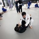 파라에스트라울산 | 커터프로덕트 메이크웨이브 화이트 도복 실착 후기