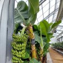 별별농장 이미지