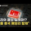 아이폰14 중국산 메모리반도체 탑재, 시작된 반도체 코리아 패싱 이미지