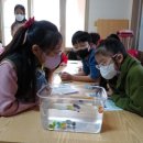 서외경로당 이미지