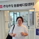 24시 쓰담쓰담 동물메디컬 센터 이미지