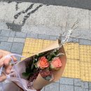 지스타플라워