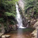 순흥전통묵집 이미지