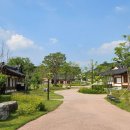 8/5(수)유럽수국 목수국 투어! 프레이밍카페,미동산수목원 목수국&amp;무궁화꽃,세종대왕 초정행궁&amp;탄산무료족욕여행 이미지