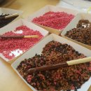 부안남초병설유치원 이미지