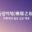 동량지재