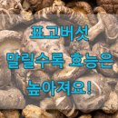 말린 표고버섯 효능,햇볕에 말릴수록 높아져 이미지