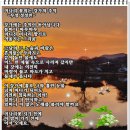 강가의 추억 이미지