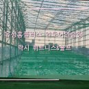 위너스골프피팅