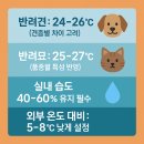 블루캔넬 | 반려동물 에어컨 온도 몇 도가 적당할까? 2025 수의사 추천 온도표 총정리