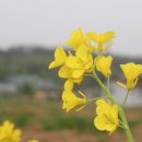 들꽃펜션 이미지