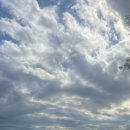 월미도 관리사무실 이미지