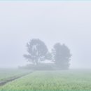 장승리 고분군 이미지