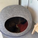 양재시민의숲 테니스장 이미지