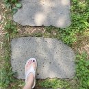 GS25 강화대로점 이미지