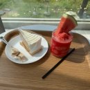 수피아B동