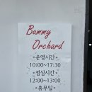 버미오차드