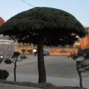 자우리호텔당진점 이미지