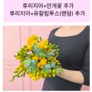 영리한몰 | 유스풀몰 프리지아 생화 10줄기 노란 봄기운 가득 꽃배달 솔직 리뷰