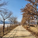 경안천습지생태공원 | 경기도 광주 팔당 물안개공원 조성공사 경안천습지생태공원