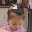 헬로슈슈