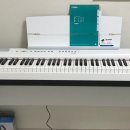 방어진순환도로L 이미지