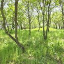 교항1리 이미지