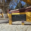 별궁카 | [중국 무비자 여행-시짱 자치구 西藏自治区-Tibet] 노블링카(Nor bulingka-罗布林卡)