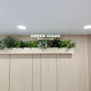 여수 휴게실 플랜테리어, 분위기 살아나는 그린지대 추천 후기