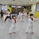 나다운태권도장 이미지