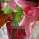 젤리핑크 이미지