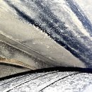 정일파크 이미지