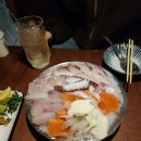 노키(NOKI) | [내포맛집추천] 야키토리 노키 내돈내산 솔직후기
