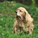 훈이농장 이미지