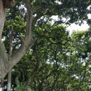 땅끝모노레일주차장화장실 이미지