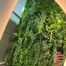 힐링사우나 이미지