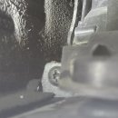 비비게러지 이미지