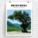 동강주유소 | 🚲강원도 라이딩 투어 추천: 영월 동강 코스 &amp; 원주 평창양지막국수 후기🏍️