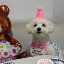 미미펫푸드 이미지