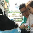 양일목장 이미지